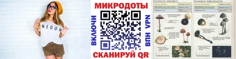 закладка  Сельцо  KRAKEN ONION  Псилоцибиновые грибы Psilocybine cubensis 